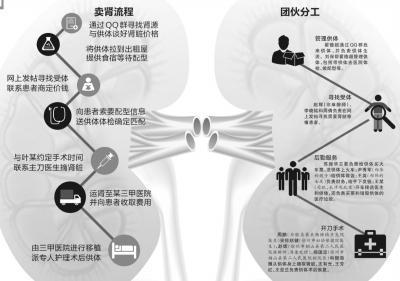 全国最大贩肾案终审 组织者摘肾51枚获利千万