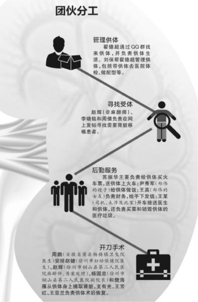 全国最大贩肾案终审 组织者摘肾51枚获利千万