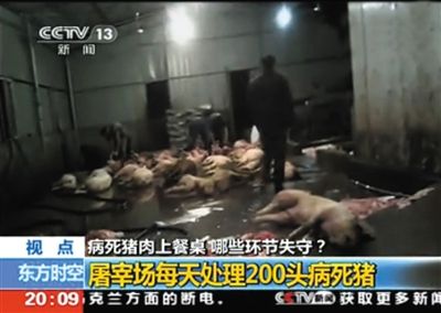 11省区病死猪肉