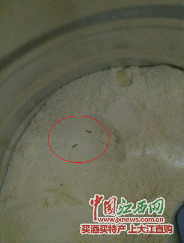 雅培奶粉被曝吃出黑色异物 曾陷“甲虫门”