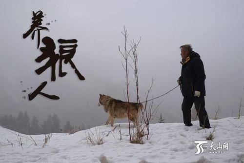 71岁的杨长生在野狼谷整日与群狼朝夕相伴