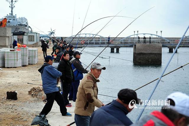 组图：青岛市民海边钓鱼不用饵 一天能钓40斤