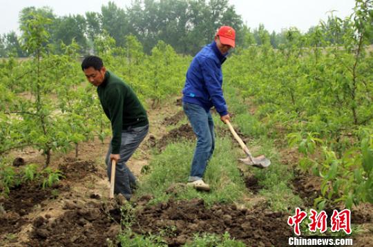 河北定州投资13亿打造北京高端果品基地