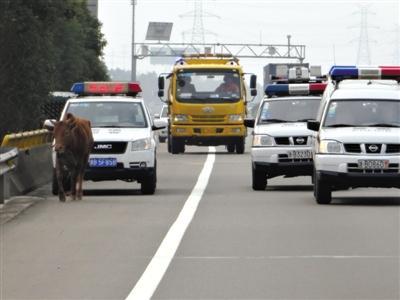 22省份取消“O”牌车 被指反增公众监督难度