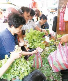 台湾高丽菜因台风涨价惊人主妇抱怨：太离谱