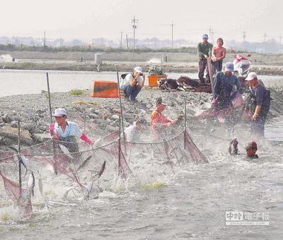 2014台湾弥陀港虱目鱼节 下月初将登场（图）