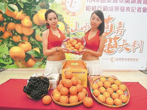 精选年节伴手礼：苗栗卓兰柑橘“甜蜜蜜”