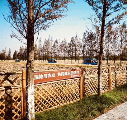 天福国家湿地公园_副本.jpg
