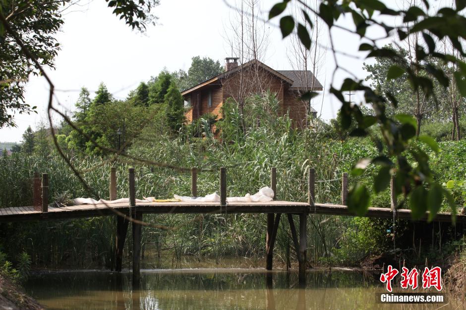 上海最“牛”违建豪宅藏秘林中