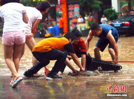 东莞多地“水浸街” 市民街头抓鱼